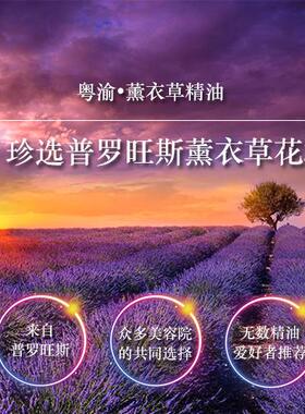 高档单方薰肤衣草精油部按摩面助眠护5天0ml正品纯植物淡印护肤脸