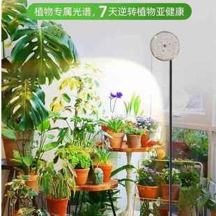 大棚谱蔬菜光多肉草补光花果水光草绿植花卉物植物生长补灯BQI水