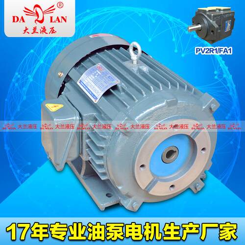大兰DALAN内轴FA1液压电机PV2R1油泵专用电机DL-12S-4-5.5KW