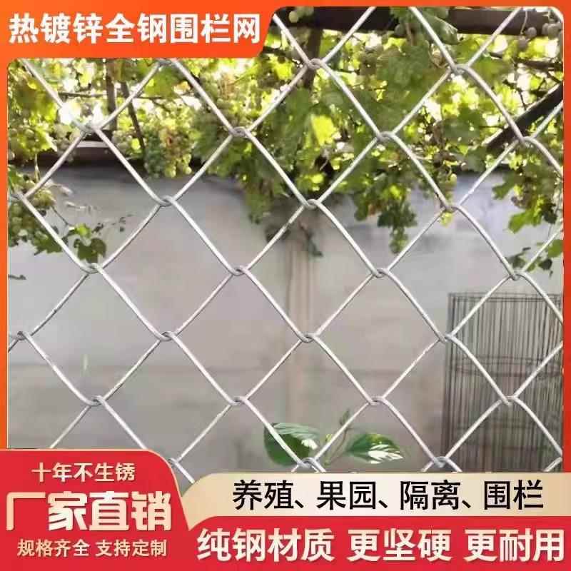 防锈镀锌铁丝网钢丝网户外围护栏网家用养殖牛羊拦鸡网菜园勾花网
