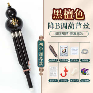 168调初学者乐器调胡降演奏c葫芦型芦小学生丝b丝专业儿童民族成