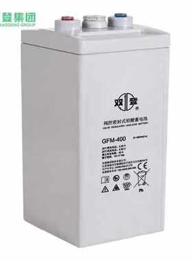 双登铅酸蓄电池2V-200AH300AH100AH500AH800AH1000AH机房应急船舶