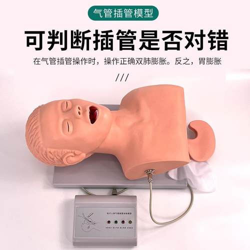 成人气管插管训练模型牙齿报警人体电子气管插管训练模型J5s