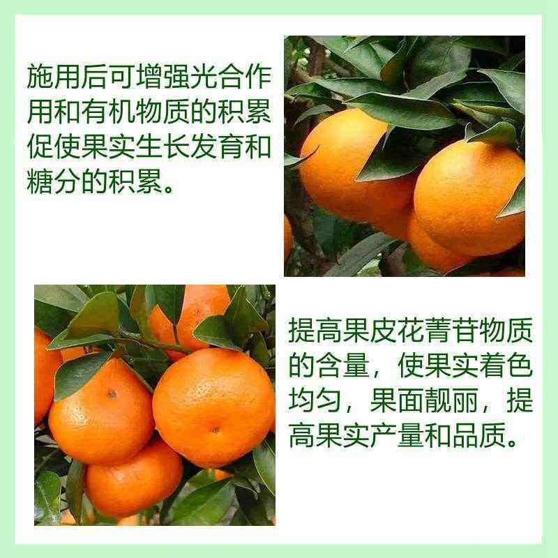 柑橘专用大量元素水溶肥果树膨大防裂增甜上色叶面肥微量元素肥料,鲜花速递/花卉仿真/绿植园艺,土壤覆盖物,淘宝优惠券,粉丝福利购,淘宝优惠卷