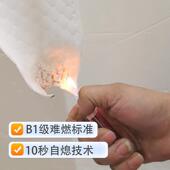 酒店新标配阻燃床垫加厚环保椰棕床垫家用榻榻米海绵垫子黄麻床垫