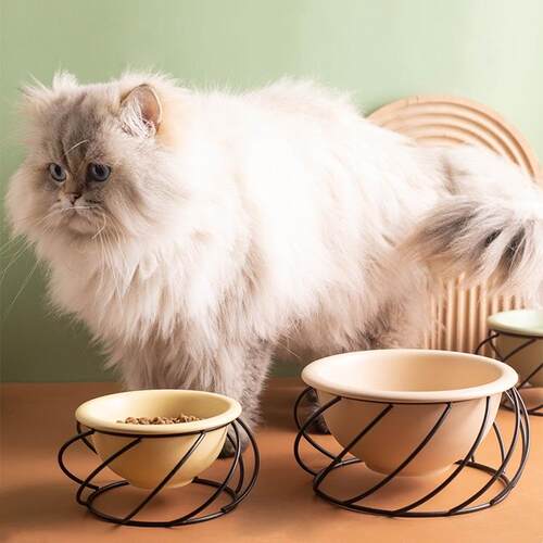 陶瓷猫碗猫咪食盆狗盆狗碗饮水碗猫粮碗保护颈椎高脚铁架宠物用品