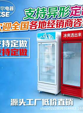 红色门酒吧冰柜商用啤酒冷柜双门饮料冷藏柜保鲜展示柜超市冰箱