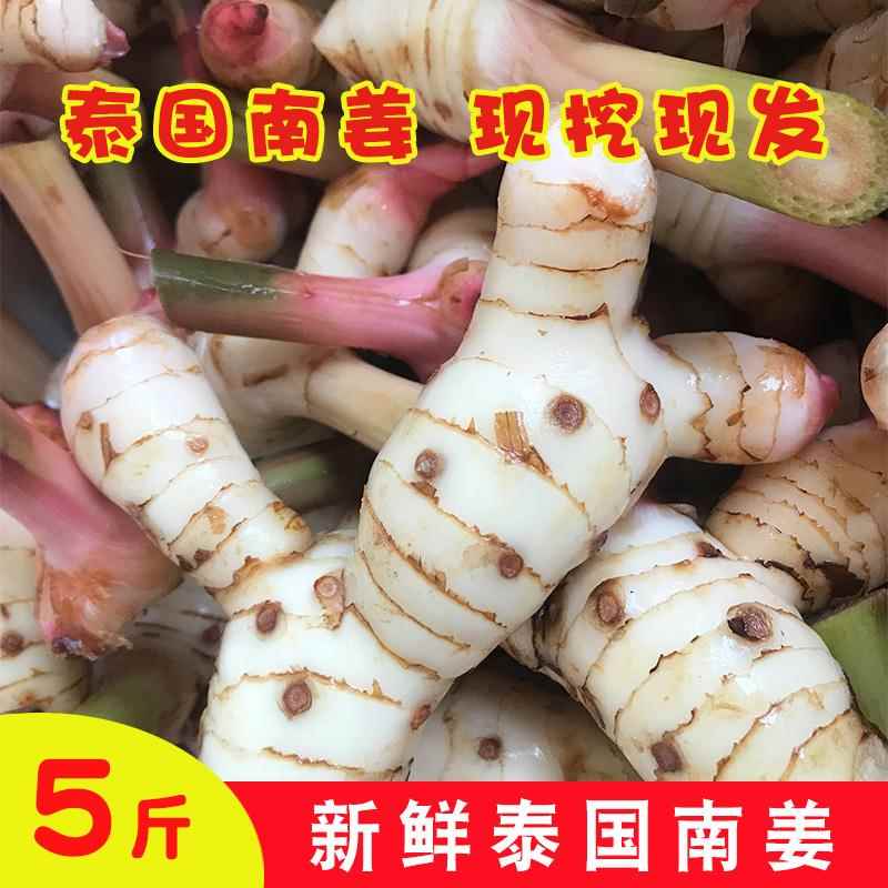 新鲜泰国南姜冬阴功咖喱新鲜良姜高良姜功汤白皮南姜调味料美食香