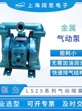 Skylink气动隔膜泵LS25系列金属小型气动泵流体输送管道泵