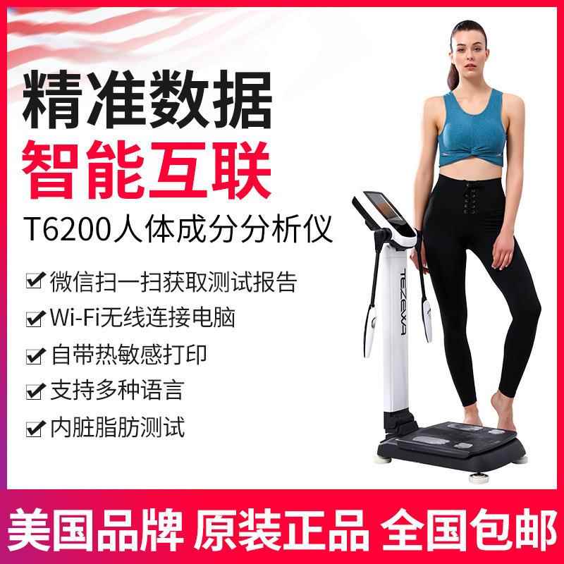 智T6200TEZEWA体测仪健身房检伽人体分析仪 瑜馆能体脂测量秤测仪