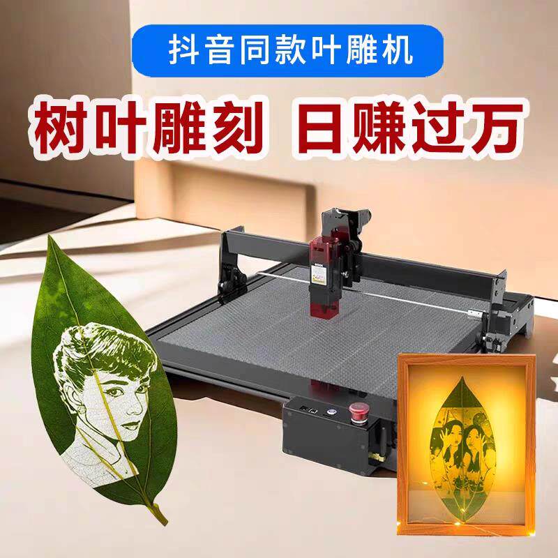 网红树叶激光雕刻机设备摆摊小型全自动打印叶子雕照片机器叶雕机