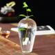 日式 插花摆件小口细口水养水培花器梅瓶侘寂 玻璃花瓶透明禅意中式