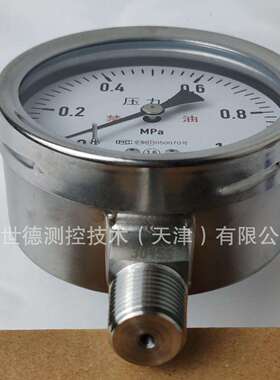 布莱迪BLD全不锈钢耐震压力表YTHN-100.AOM120 0-1MPA禁油处理