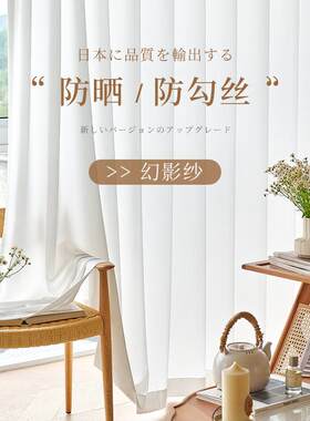 透光不透人肌理纹防刮纱帘窗帘白沙幻影纱薄纱窗纱飘窗阳台沙帘白