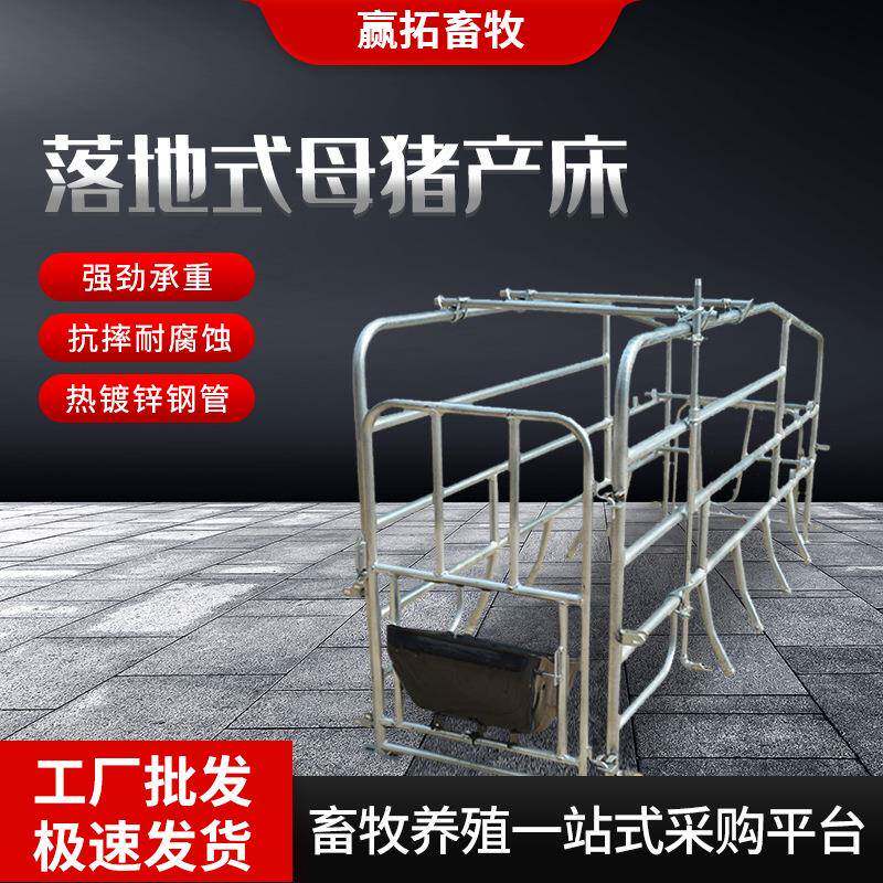 厂家落地式母猪产床产保两用落地式单体猪用设备母猪分娩床