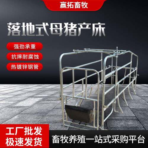 厂家落地式母猪产床产保两用落地式单体猪用设备母猪分娩床