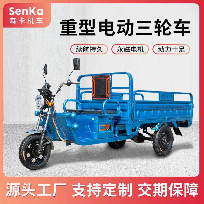 重型电动三轮车货车载货王拉货农用三轮电瓶摆摊山区货运爬坡国标