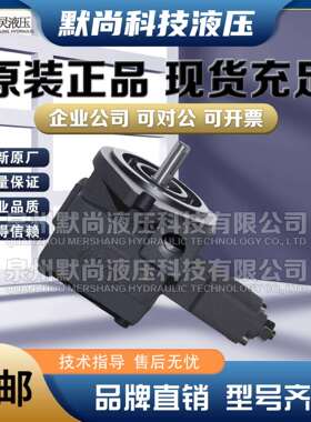 仙居永灵YLC叶片泵VP2-30-20/VP2-30-35/VP2-40-20/VP2-40-70油泵