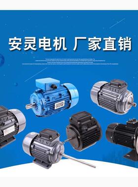 YY63系列120W/180W/252W单相电容起动电机单相电机电机厂家