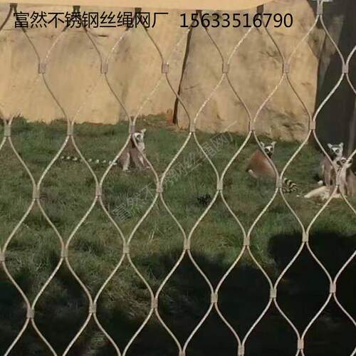 304菱形不锈钢卡扣绳网孔雀养殖网杂剧团用动物园编织防护网