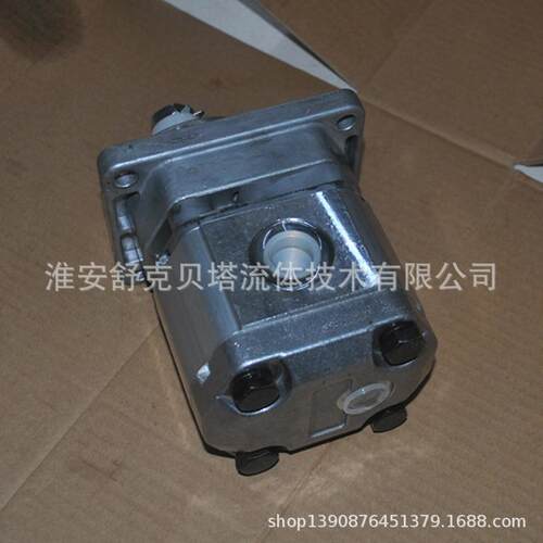 BAP2B3D12T2F1系列齿轮马达