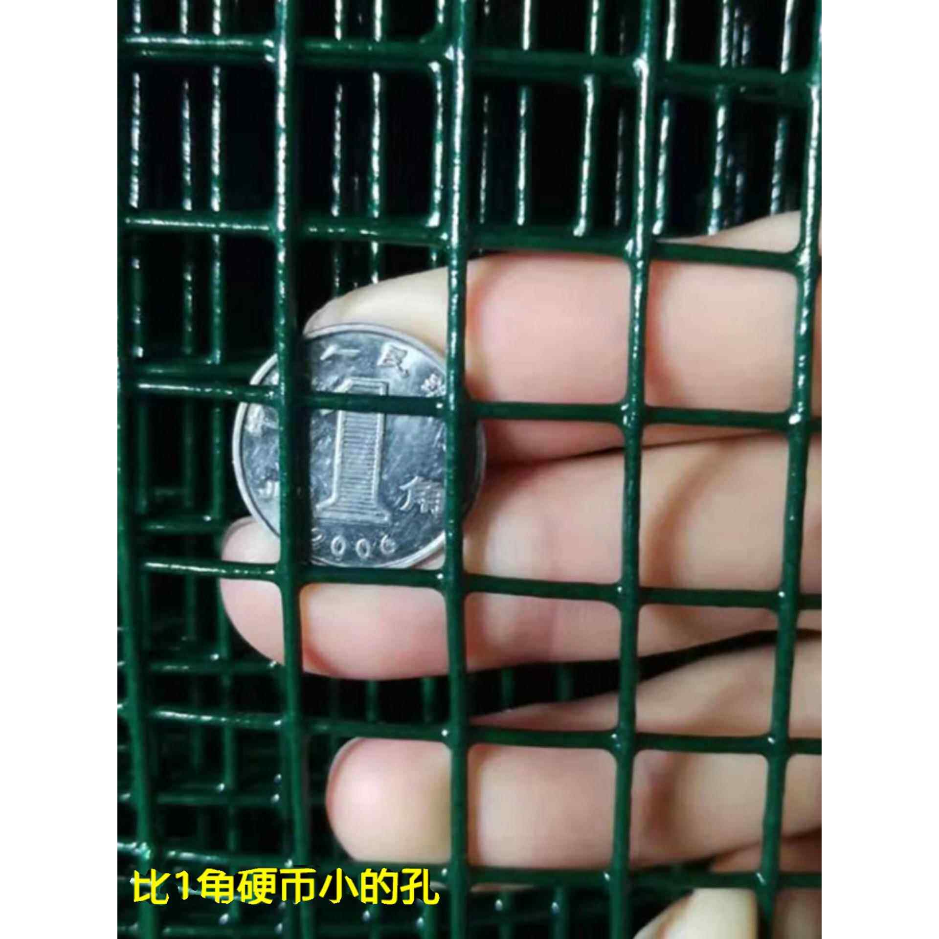 荷兰网小孔铁丝网围栏养殖养鸡网小鸡养鸟防鼠围栏网家用防护网