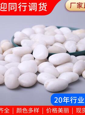 白色抛光鹅卵石 厂家鱼缸造景园林铺路雨花石庭院装饰石头