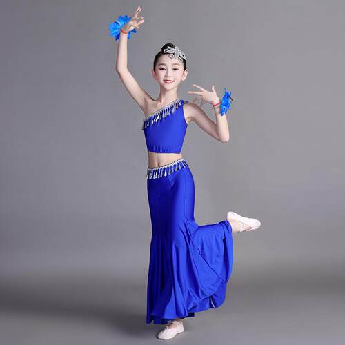 正品舞儿童傣族舞演出服蹈女臀童孔雀包鱼尾裙少儿民族艺考练功半