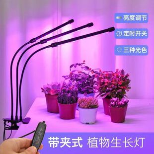 仿太阳植物生长灯室内多肉补光灯全光谱光合作用led微景观日照灯