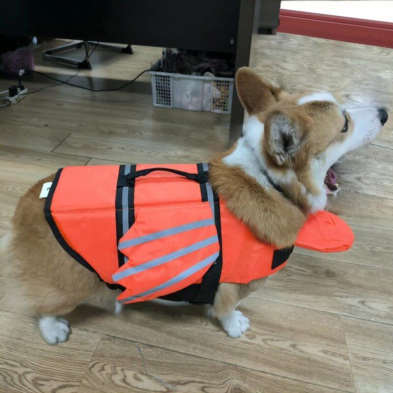 亚马逊宠物翅膀救生衣狗狗游泳衣狗夏装宠物用品狗服装夏季安全衣
