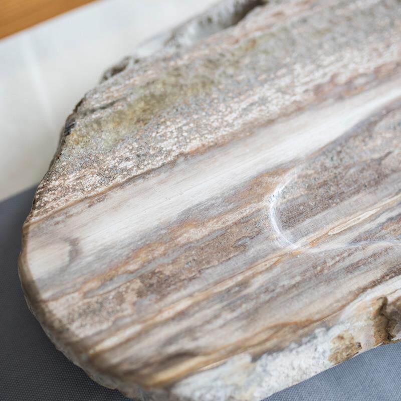 天然木化石茶盘 整块大号木化玉茶台 简约家用非乌金石茶托盘