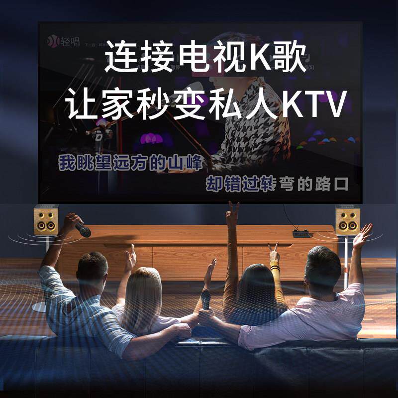 DOSS适用于乐宴魔砖声浪家用客厅无线K歌外置声卡混响唱歌调音台