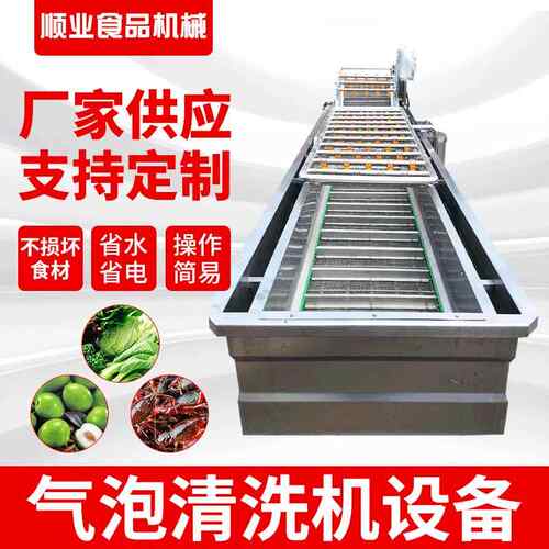 全自动果蔬清洗机 菠菜橄榄气泡清洗机 翻浪式气泡清洗机