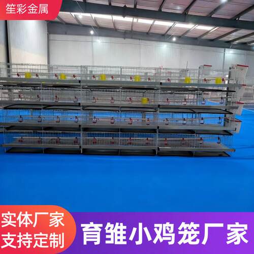 立式四层叠育雏小鸡笼农场鸡舍畜牧养殖养鸡设备镀锌小鸡笼设备
