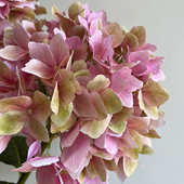 花束婚庆球王家居3d精品客厅绣拍照假餐桌花花装 饰仿真摄影道具