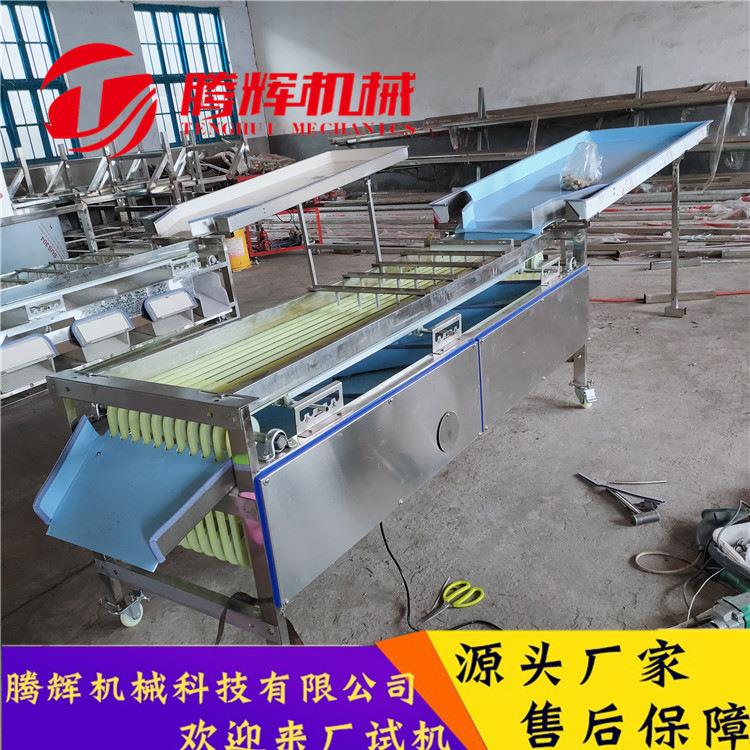 不锈钢轨道式水果分选机圣女果选果机小红果分级机
