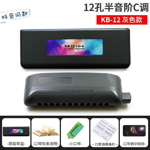 正品Kb-12半音门口琴专业演阶奏12孔48音生C键初学者入级学演奏乐