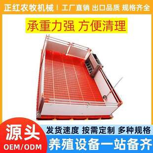 正红MIL养殖备保育床仔猪双体塑料复板热镀设管保育栏合养猪锌设
