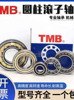 TMB圆柱滚子轴承N NU NJ202 203 204 205 206 207 208 209 210EM