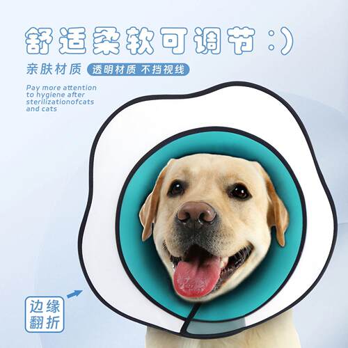 贝哈可伊丽莎白圈宠物术后恢复可调防护罩猫狗绝育项圈防舔防抓圈