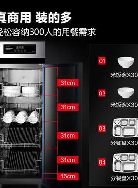德玛仕 商用消毒柜二星级高温消毒不锈钢立式热风可调温单门高柜
