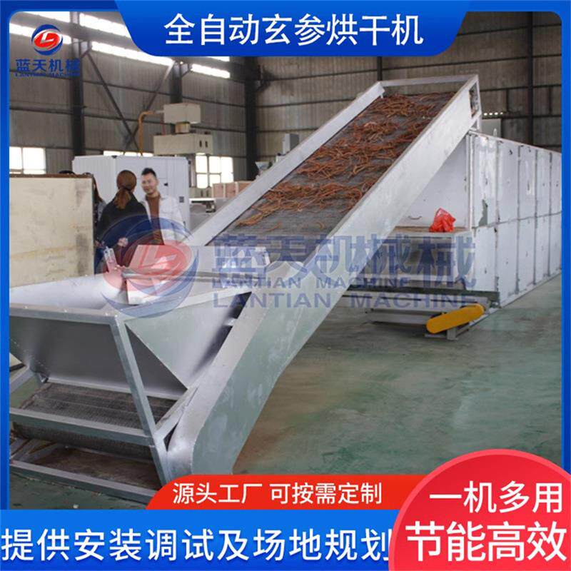 玄参烘干机网带式中药材黑参玄参片干燥机大型元参药材烘烤设备