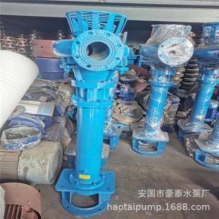 立式 液0 铸铁液下CAU泵废水液下离心泵排污 无堵塞下泵YW565