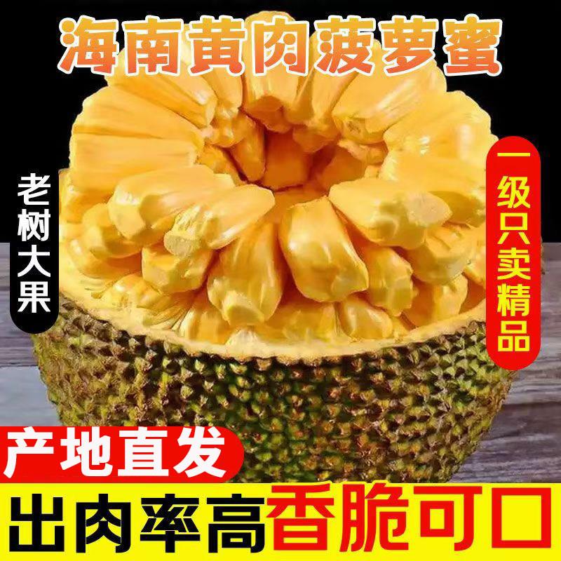 正宗海南菠萝蜜一整个新鲜水果包邮当季黄肉整箱香蕉热带大果果肉