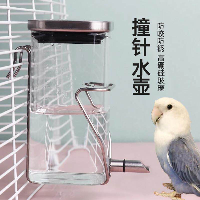 撞针式鹦鹉饮水器玻璃大容量不锈钢鸟用自动喂水鸟笼水壶喝水小鸟