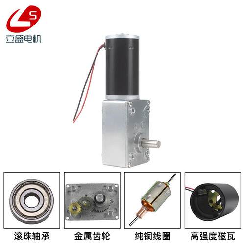 立盛5840-31ZY微型直流减速电机钢齿轮 蜗杆调速慢速马达12V24V