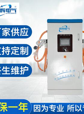 30kW直流新能源电动汽车充电桩电动汽车快速充电桩扫码刷卡付费