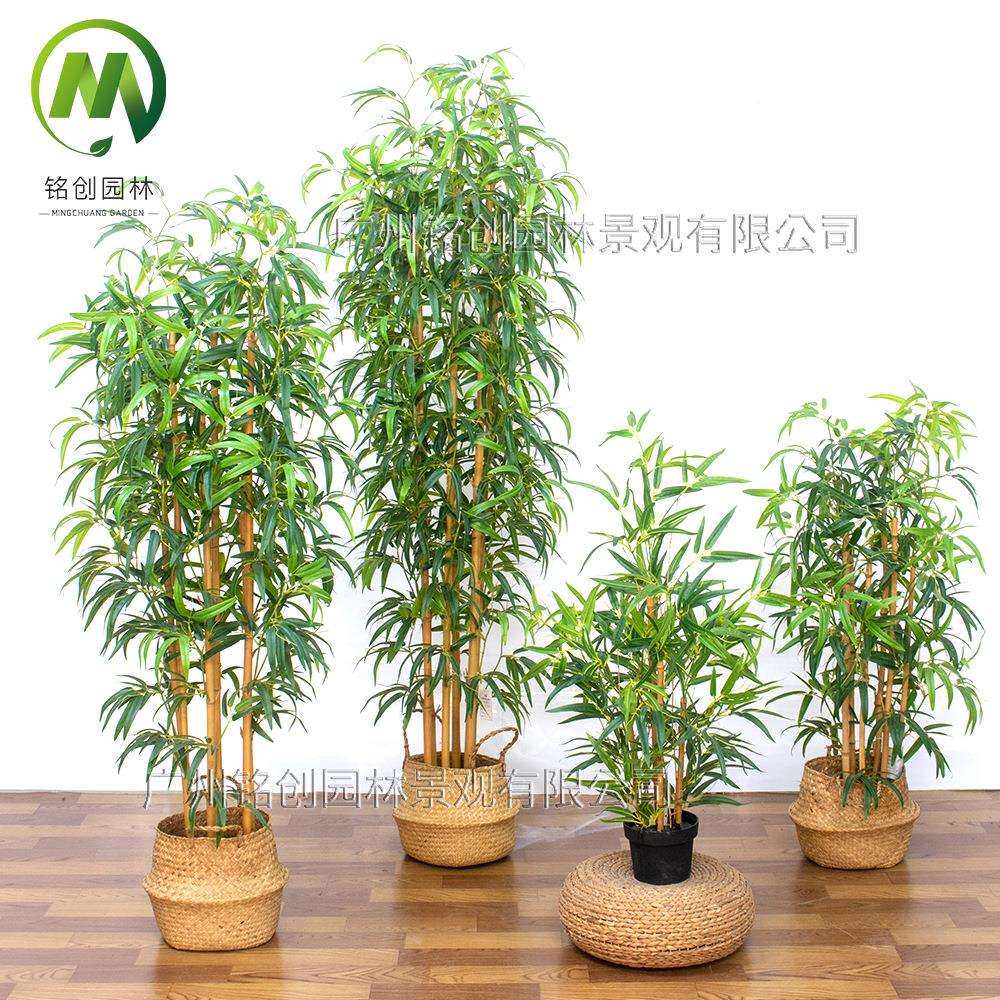 仿真绿植造仿景假竹子仿真盆栽真植假绿竹植景观002用物仿真子盆