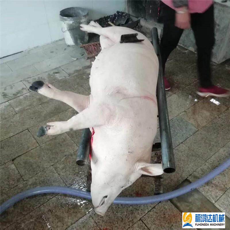全自动猪羊屠宰机械厂家猪去毛设特种养殖设备