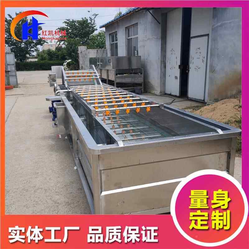 浪式油菜泡清洗机 全自 动果蔬HK气清洗翻机设备大枣青枣清洗机设